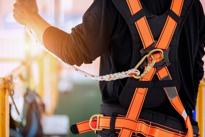 safety harness